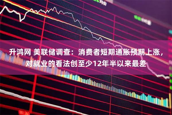 升鸿网 美联储调查：消费者短期通胀预期上涨，对就业的看法创至少12年半以来最差