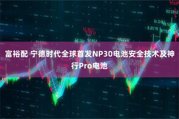 富裕配 宁德时代全球首发NP30电池安全技术及神行Pro电池