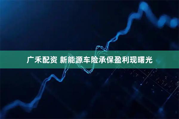 广禾配资 新能源车险承保盈利现曙光