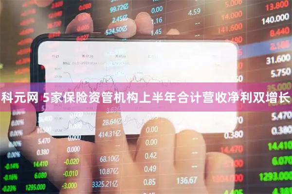 科元网 5家保险资管机构上半年合计营收净利双增长